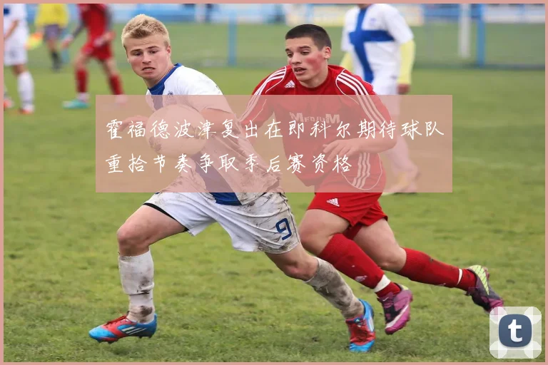 霍福德波津复出在即科尔期待球队重拾节奏争取季后赛资格