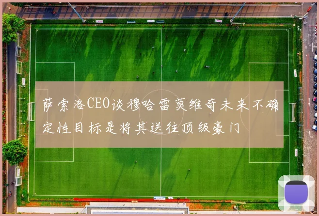 萨索洛CEO谈穆哈雷莫维奇未来不确定性目标是将其送往顶级豪门